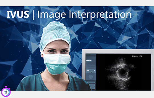 IVUS | Image Interpretation (1 CE credit) course image